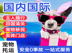 呼和浩特白塔空运代理国际宠物托运 【国